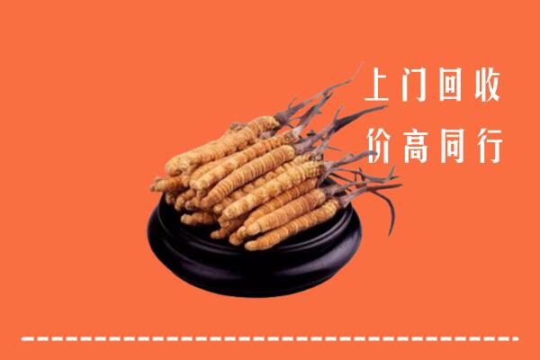 高价求购：沾化区回收散虫草
